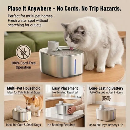 Cordless Pet Water Fountain – No Wires, Just Fresh Water and Peaceful Hydration