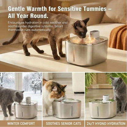 Cordless Pet Water Fountain – No Wires, Just Fresh Water and Peaceful Hydration