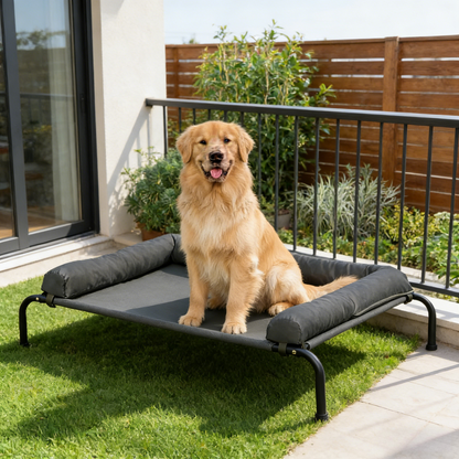 Cooling Elevated Dog Bed for Large Dogs, Portable Indoor & Outdoor Raised Dog Bed with Breathable Mesh