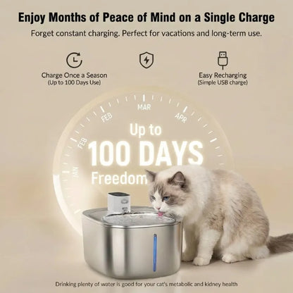 Cordless Pet Water Fountain – No Wires, Just Fresh Water and Peaceful Hydration